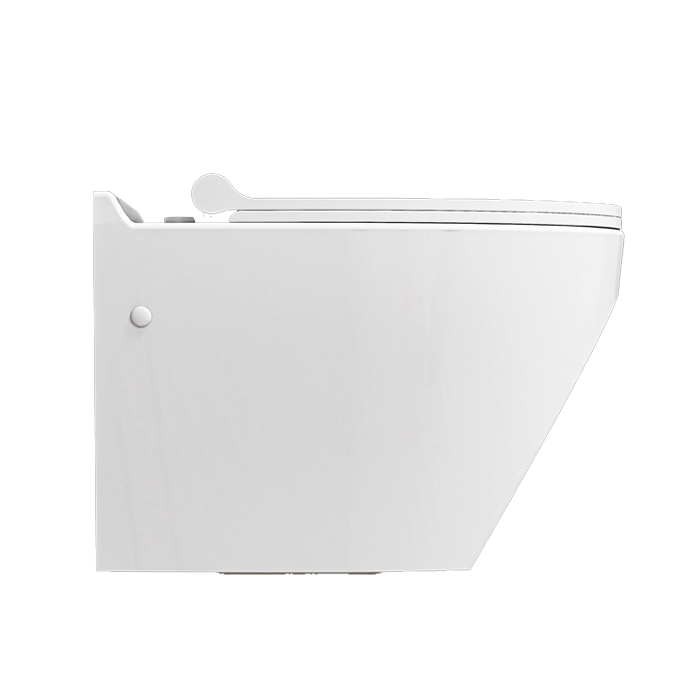 توالت فرنگی والهنگ لیندا