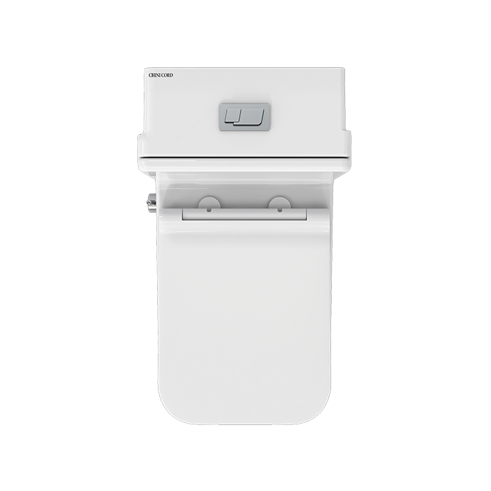 توالت فرنگی مونوبلاک آرتا