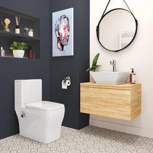 توالت فرنگی مونوبلاک آرتا